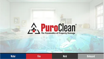PuroClean of Sugarland South Profile Photo - Water Damage Restoration in Sugar Land TX