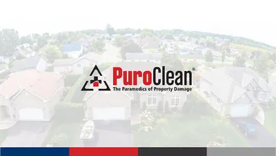 PuroClean of Winter Garden Profile Photo - Water Damage Restoration in Winter Garden FL