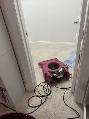 PuroClean of Rockwall Profile Photo - Water Damage Restoration in Rockwall TX