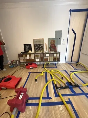 PuroClean of Whitestone Profile Photo - Water Damage Restoration in Whitestone NY