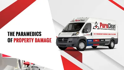 PuroClean Restoration Services Profile Photo - Water Damage Restoration in Elmhurst NY
